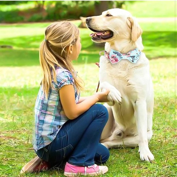 Dog Collar Adjustable Puppy Collars for  Medium Boy&Girl Dogs (M, Light Blue 02) - Picture 5 of 5